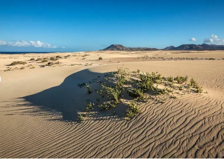 Casa Sandra Corralejo 0*,